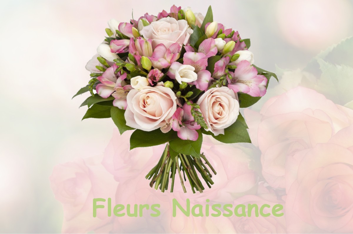 fleurs naissance MASPIE-LALONQUERE-JUILLACQ